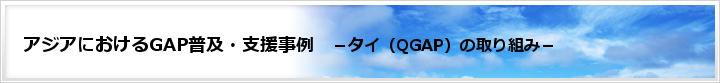 アジアにおけるGAP普及・支援事例－QGAPの事例